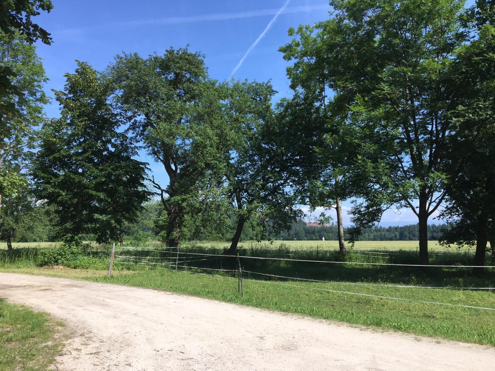 Skorianzhof Hotell Eberndorf Exteriör bild