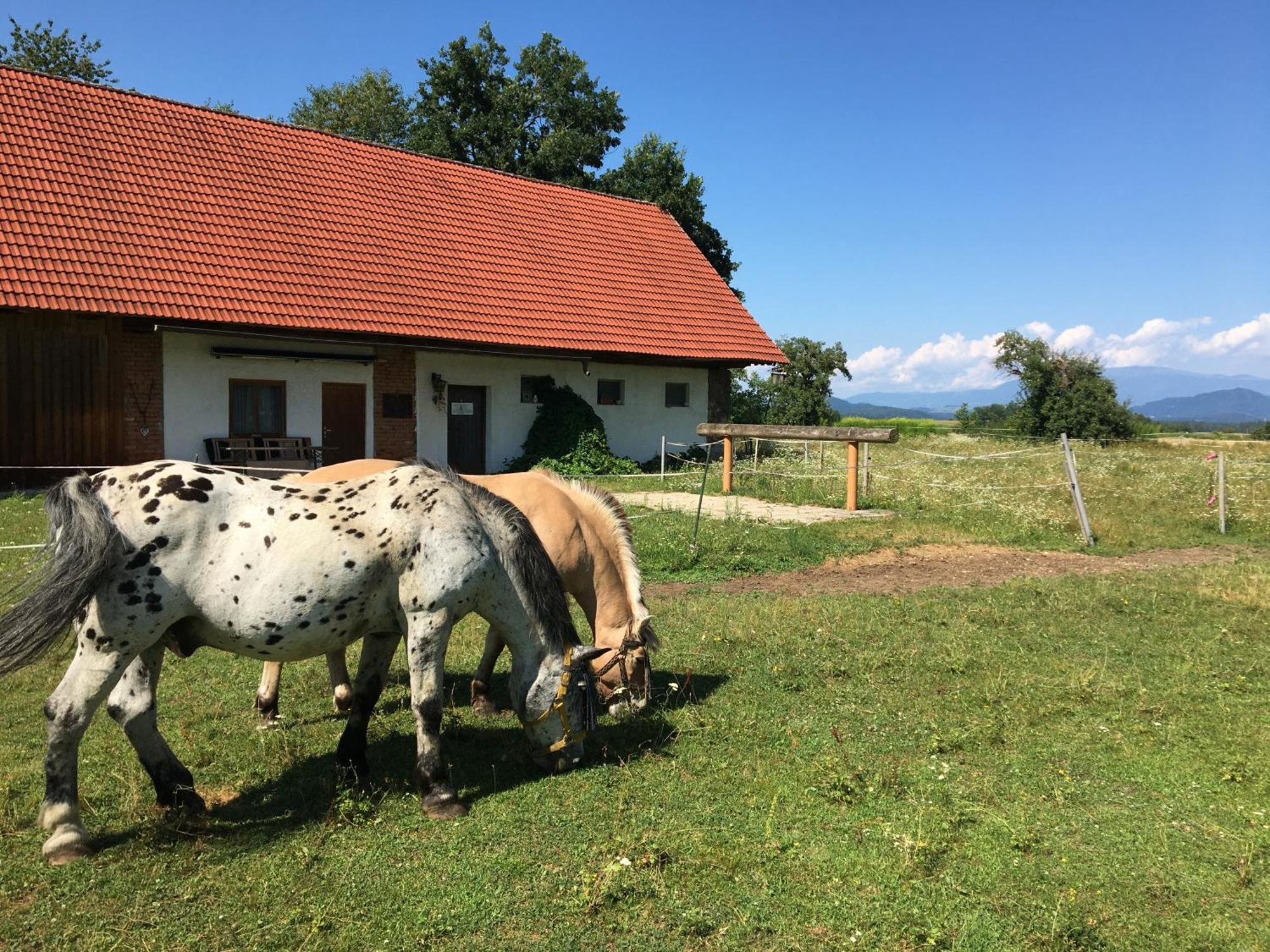 Skorianzhof Hotell Eberndorf Exteriör bild